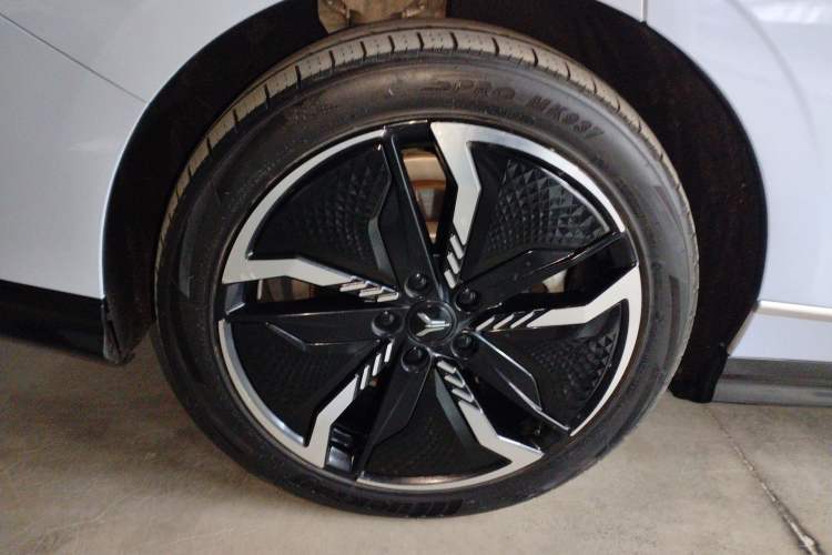 Used VOYAH PASSION 2023 Four-Wheel Drive Long-Range Version Exterior 8