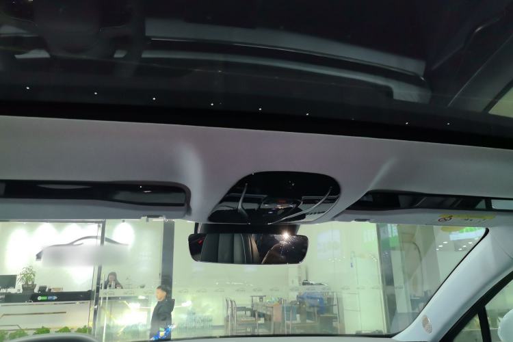 Used VOYAH PASSION 2023 Four-Wheel Drive Long-Range Version Headliner