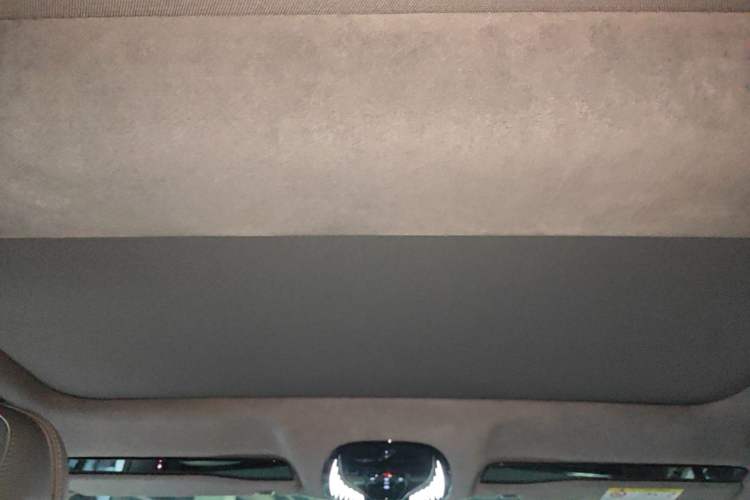 Used VOYAH PASSION 2023 Four-Wheel Drive Flagship Edition Headliner