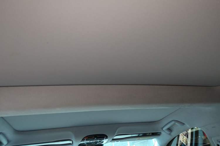 Used VOYAH PASSION 2023 Four-Wheel Drive Flagship Edition Headliner