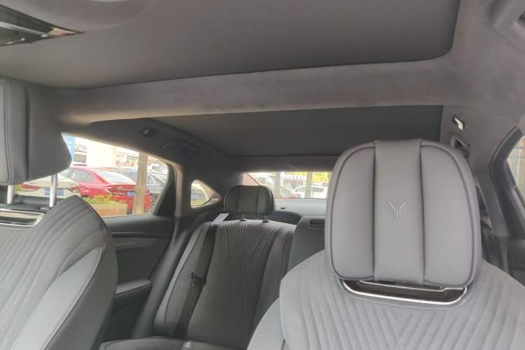 Used VOYAH PASSION 2023 Four-Wheel Drive Standard Edition Headliner