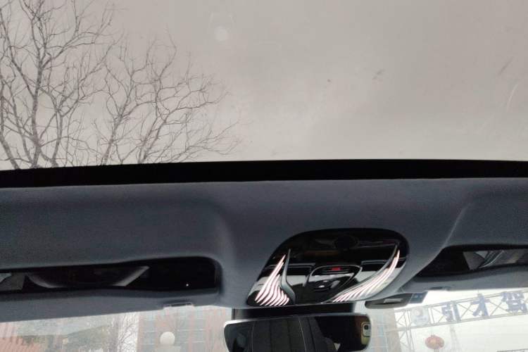 Used VOYAH PASSION 2023 Four-Wheel Drive Flagship Edition Headliner