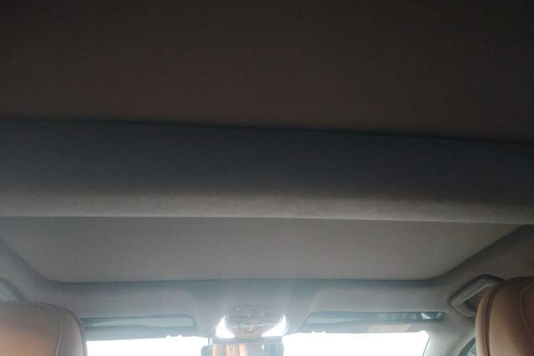 Used VOYAH PASSION 2023 Four-Wheel Drive Flagship Edition Headliner