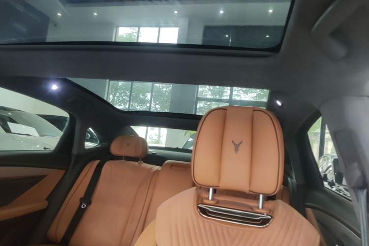 Used VOYAH PASSION 2023 Four-Wheel Drive Flagship Edition Headliner