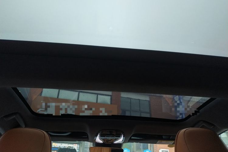 Used VOYAH PASSION 2023 Four-Wheel Drive Long-Range Version Headliner