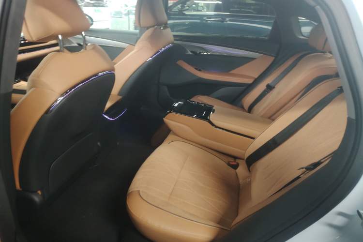 Used VOYAH PASSION 2023 Four-Wheel Drive Flagship Edition Left Rear Seat