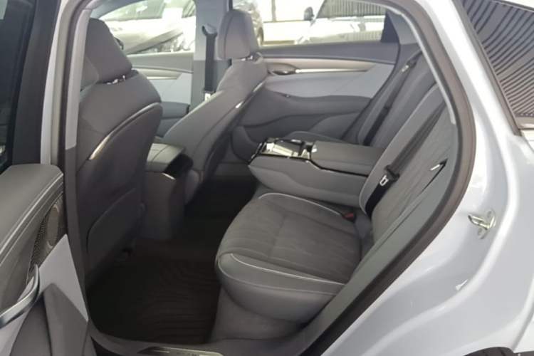 Used VOYAH PASSION 2023 Four-Wheel Drive Flagship Edition Left Rear Seat