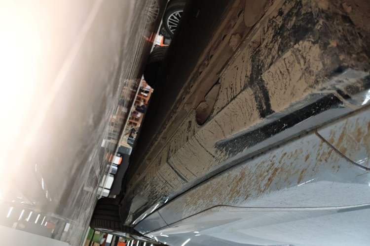Used VOYAH PASSION 2023 Four-Wheel Drive Flagship Edition Left Side Sill