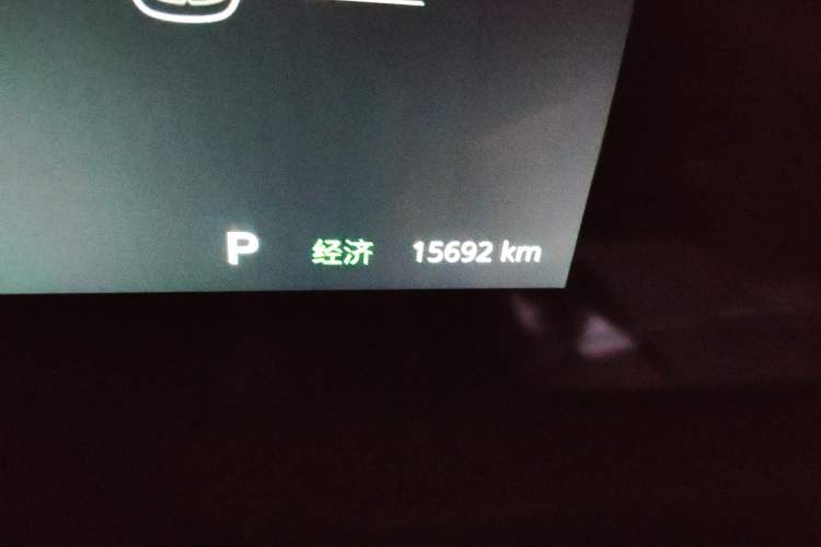 Used VOYAH PASSION 2023 Four-Wheel Drive Flagship Edition Odometer Close Up