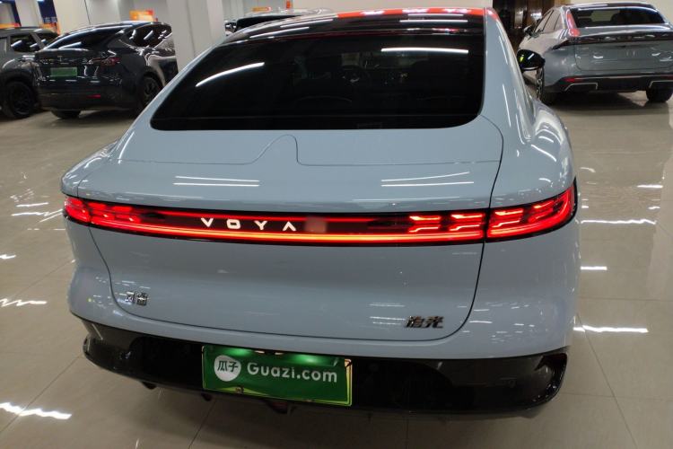 Used VOYAH PASSION 2023 Four-Wheel Drive Flagship Edition Rear