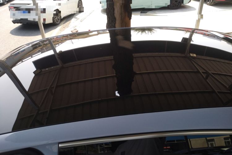 Used VOYAH PASSION 2023 Four-Wheel Drive Long-Range Version Roof