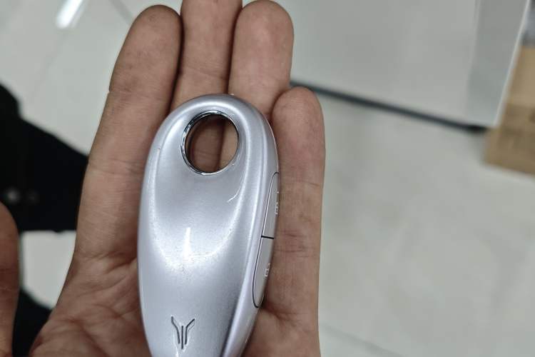 Used VOYAH PASSION 2023 Four-Wheel Drive Flagship Edition Vehicle Key