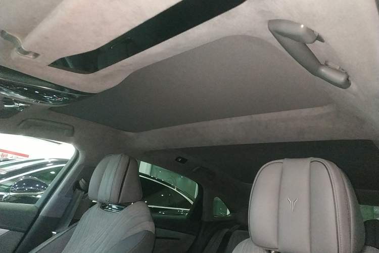 Used VOYAH PASSION 2023 Four-Wheel Drive Long-Range Version Headliner