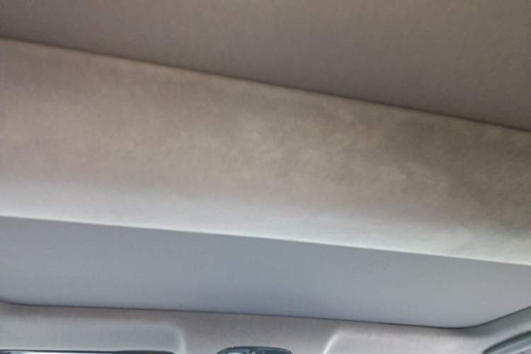 Used VOYAH PASSION 2023 Four-Wheel Drive Flagship Edition Headliner