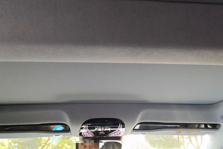 Used VOYAH PASSION 2023 Four-Wheel Drive Standard Edition Headliner
