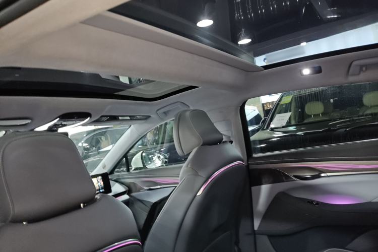 Used VOYAH PASSION 2023 Four-Wheel Drive Standard Edition Headliner