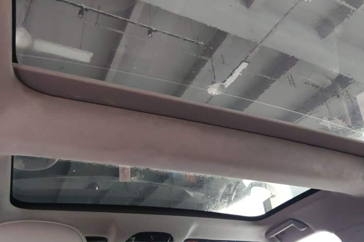Used VOYAH PASSION 2023 Four-Wheel Drive Flagship Edition Headliner