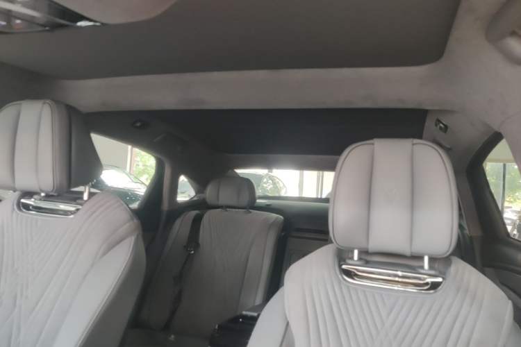 Used VOYAH PASSION 2023 Four-Wheel Drive Flagship Edition Headliner