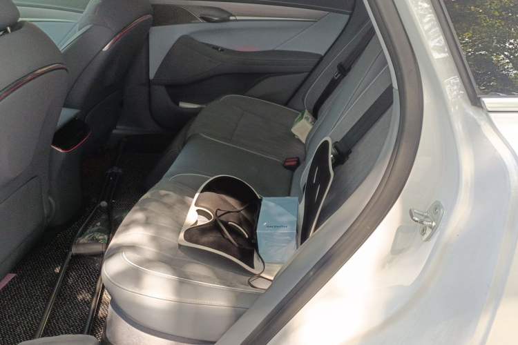 Used VOYAH PASSION 2023 Four-Wheel Drive Standard Edition Left Rear Seat