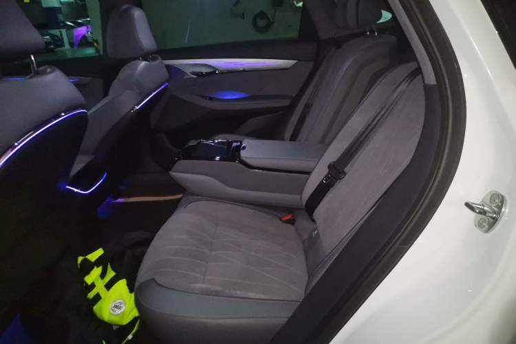 Used VOYAH PASSION 2023 Four-Wheel Drive Flagship Edition Left Rear Seat