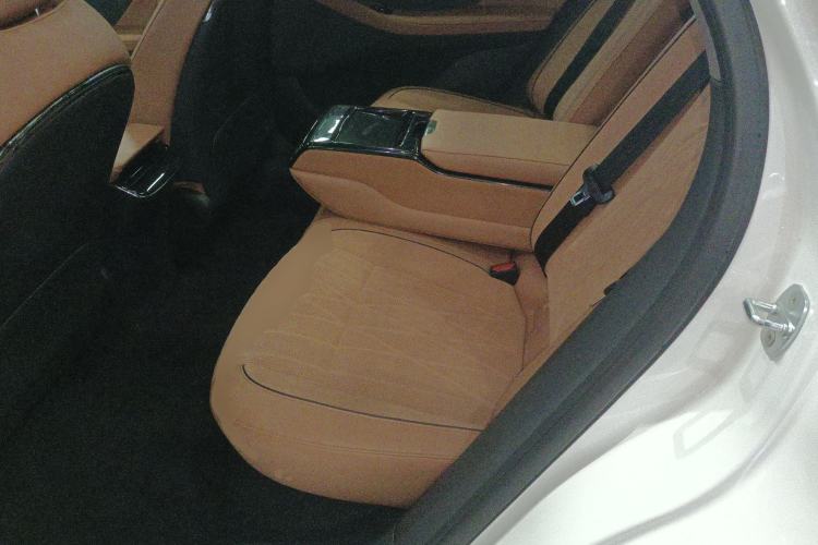 Used VOYAH PASSION 2023 Four-Wheel Drive Flagship Edition Left Rear Seat
