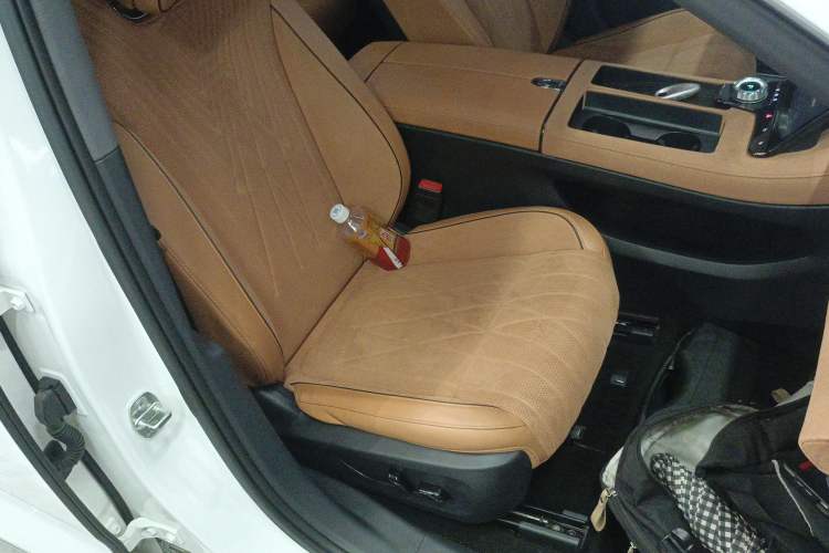 Used VOYAH PASSION 2023 Four-Wheel Drive Flagship Edition Right Front Seat