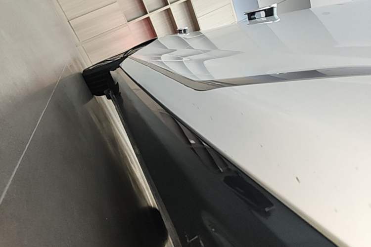Used VOYAH PASSION 2023 Four-Wheel Drive Long-Range Version Right Side Sill