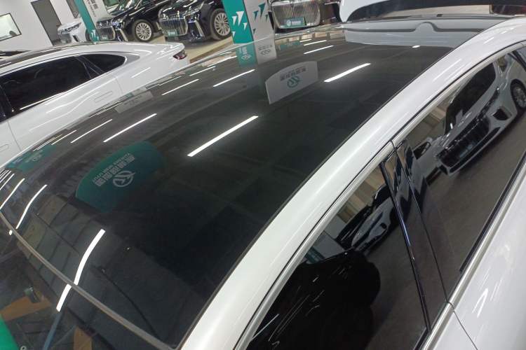 Used VOYAH PASSION 2023 Four-Wheel Drive Long-Range Version Roof
