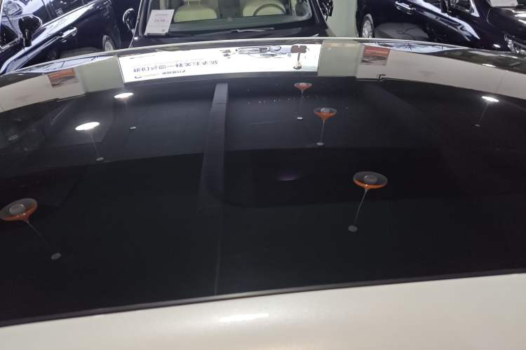 Used VOYAH PASSION 2023 Four-Wheel Drive Standard Edition Roof