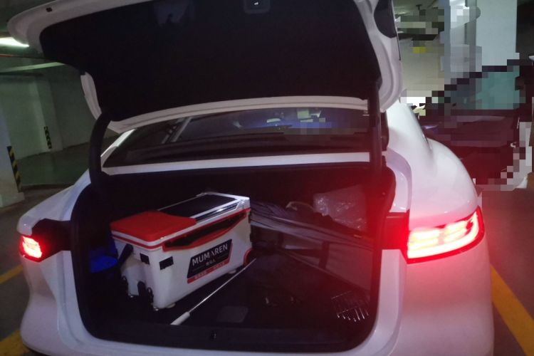 Used VOYAH PASSION 2023 Four-Wheel Drive Flagship Edition Trunk