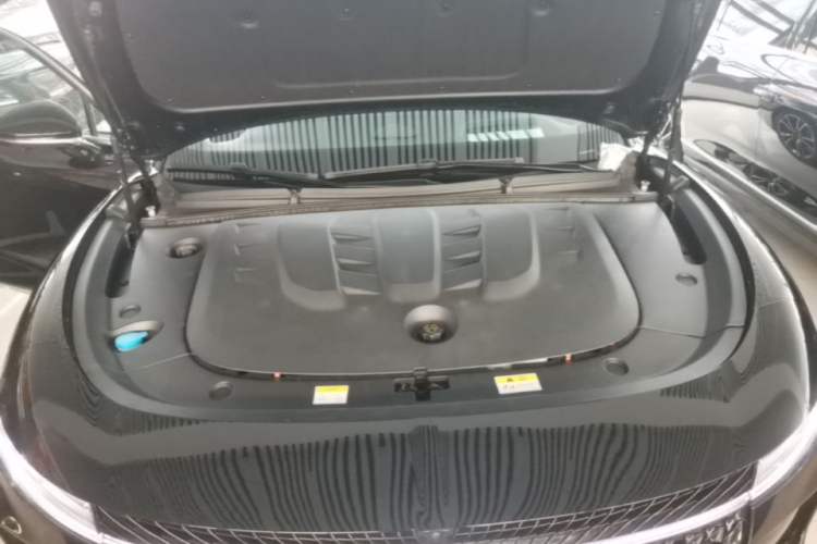 Used VOYAH PASSION 2024 PHEV Four-Wheel Drive Ultra-Long Range Flagship Model Engine Bay