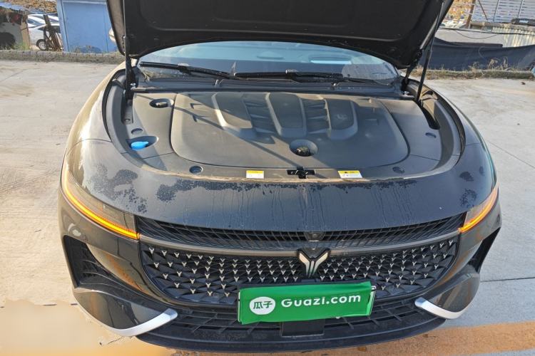 Used VOYAH PASSION 2024 PHEV Four-Wheel Drive Ultra-Long Range Executive Edition Engine Bay