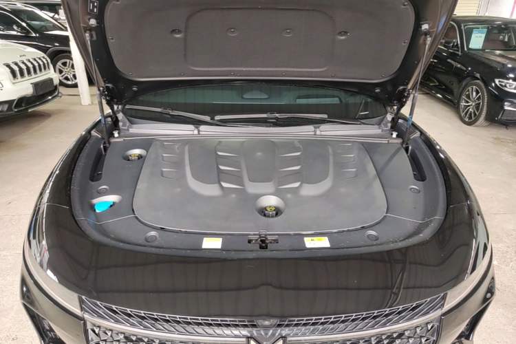 Used VOYAH PASSION 2024 PHEV Four-Wheel Drive Ultra-Long Range Flagship Model Engine Bay
