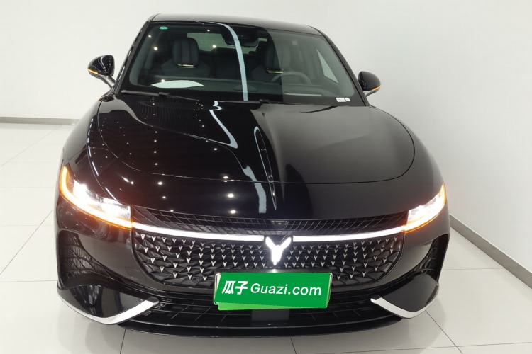 Used VOYAH PASSION 2024 PHEV Four-Wheel Drive Ultra-Long Range Flagship Model Exterior 1