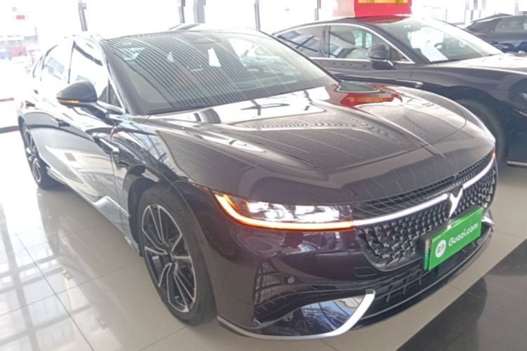 Used VOYAH PASSION 2024 PHEV Four-Wheel Drive Ultra-Long Range Flagship Model Exterior 1
