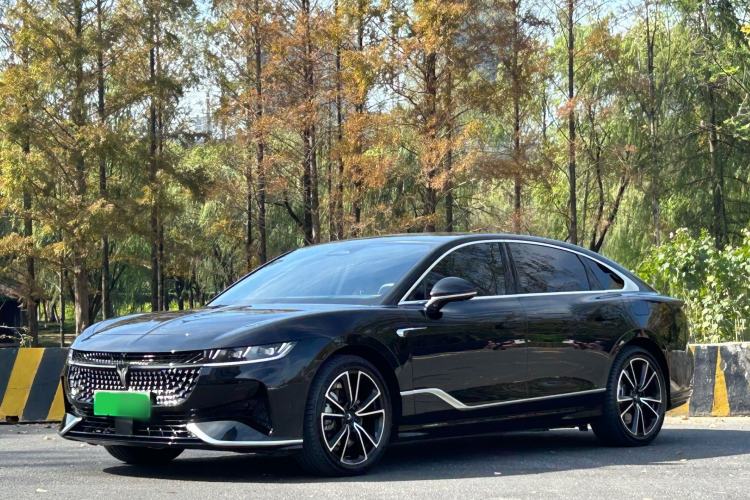 Used VOYAH PASSION 2024 PHEV Four-Wheel Drive Ultra-Long Range Flagship Model Exterior 1