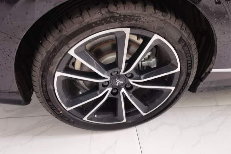 Used VOYAH PASSION 2024 PHEV Four-Wheel Drive Ultra-Long Range Flagship Model Exterior 8