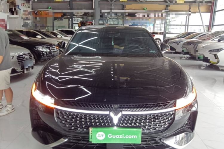 Used VOYAH PASSION 2024 PHEV Four-Wheel Drive Ultra-Long Range Flagship Model Front