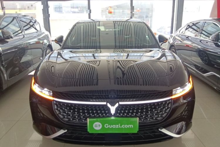 Used VOYAH PASSION 2024 PHEV Four-Wheel Drive Ultra-Long Range Flagship Model Front