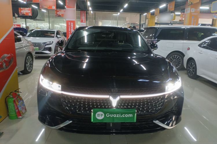 Used VOYAH PASSION 2024 PHEV Four-Wheel Drive Ultra-Long Range Flagship Model Front