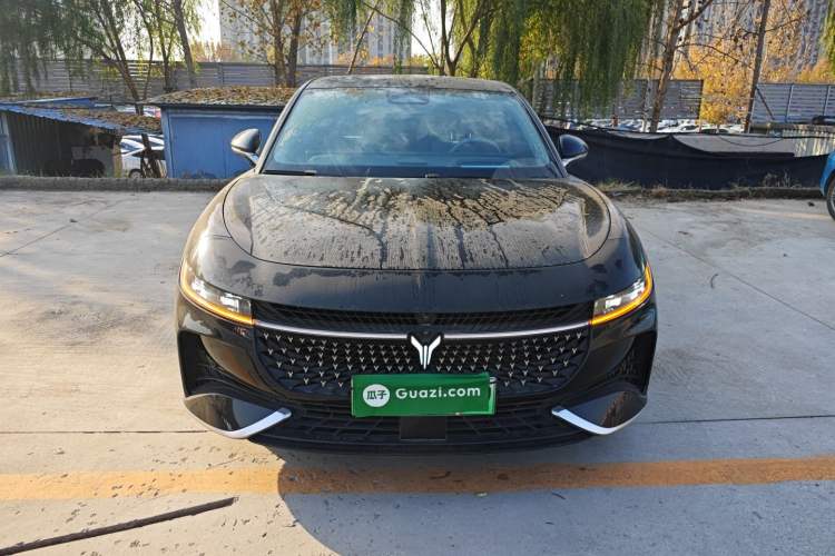 Used VOYAH PASSION 2024 PHEV Four-Wheel Drive Ultra-Long Range Executive Edition Front