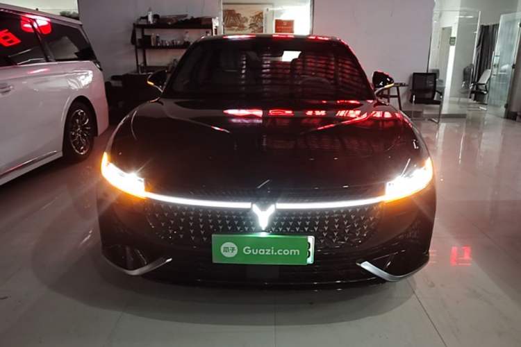 Used VOYAH PASSION 2024 PHEV Four-Wheel Drive Ultra-Long Range Flagship Model Front