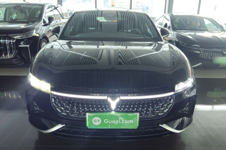 Used VOYAH PASSION 2024 PHEV Four-Wheel Drive Ultra-Long Range Flagship Model Front