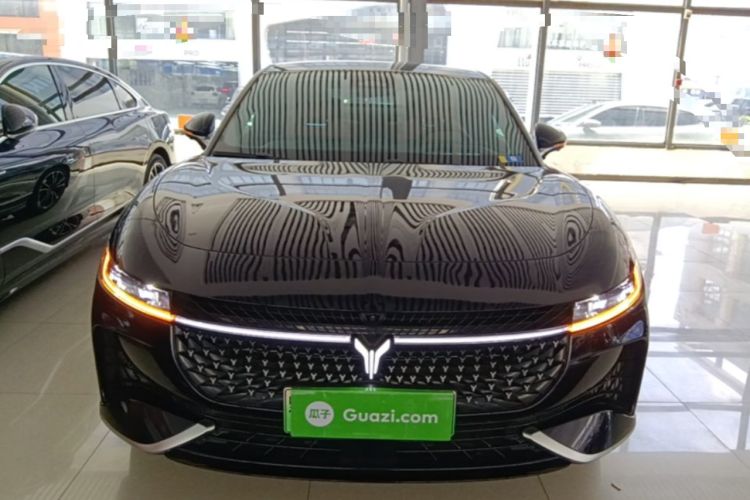 Used VOYAH PASSION 2024 PHEV Four-Wheel Drive Ultra-Long Range Flagship Model Front