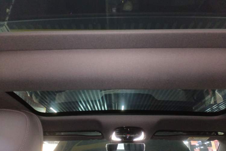 Used VOYAH PASSION 2024 PHEV Four-Wheel Drive Ultra-Long Range Flagship Model Headliner