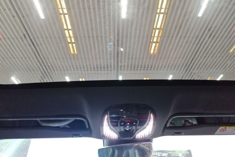 Used VOYAH PASSION 2024 PHEV Four-Wheel Drive Ultra-Long Range Executive Edition Headliner