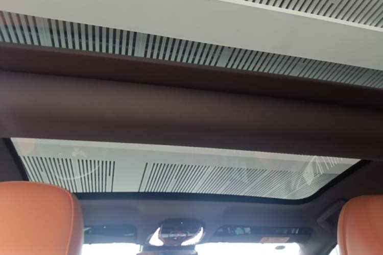 Used VOYAH PASSION 2024 PHEV Four-Wheel Drive Ultra-Long Range Flagship Model Headliner