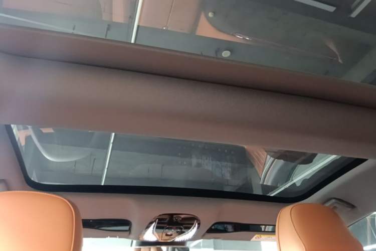 Used VOYAH PASSION 2024 PHEV Four-Wheel Drive Ultra-Long Range Flagship Model Headliner