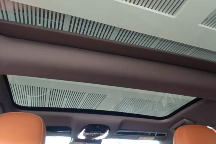 Used VOYAH PASSION 2024 PHEV Four-Wheel Drive Ultra-Long Range Flagship Model Headliner