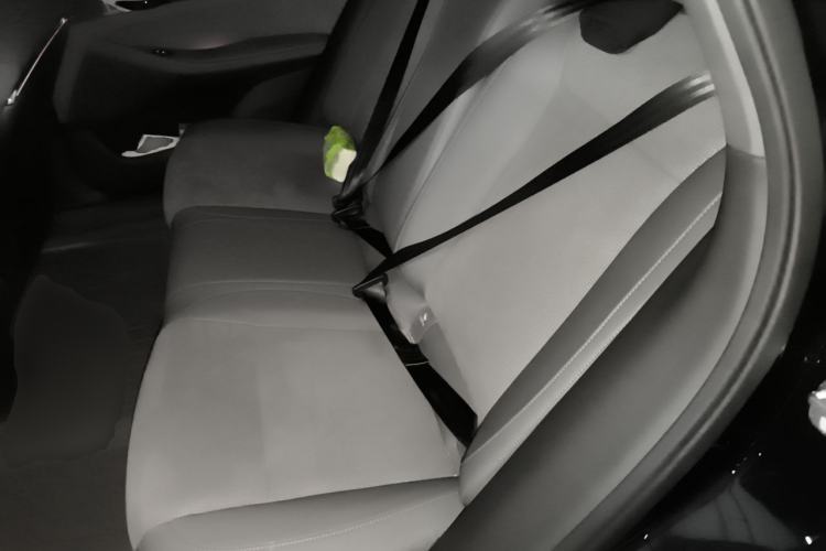 Used VOYAH PASSION 2024 PHEV Four-Wheel Drive Ultra-Long Range Executive Edition Left Rear Seat